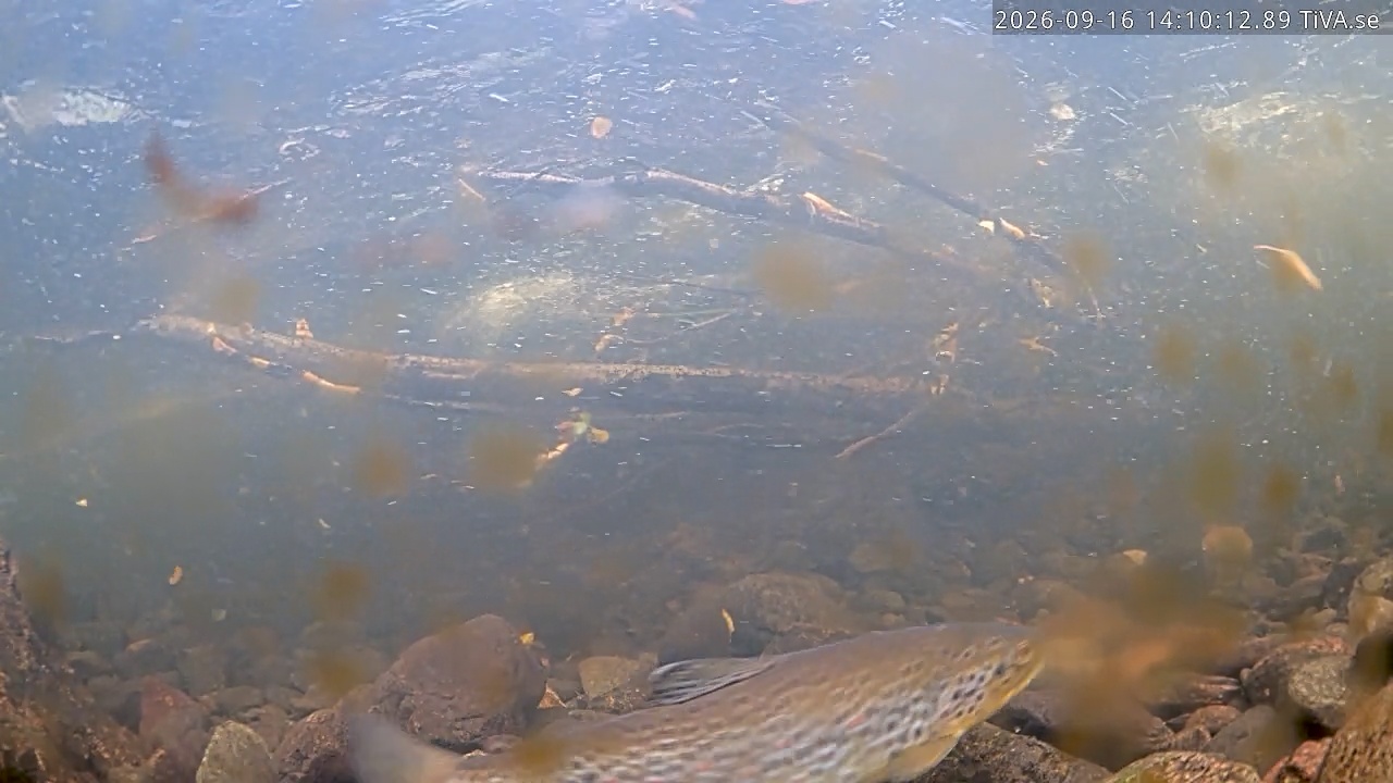 Video 2026-09-16 14:10
