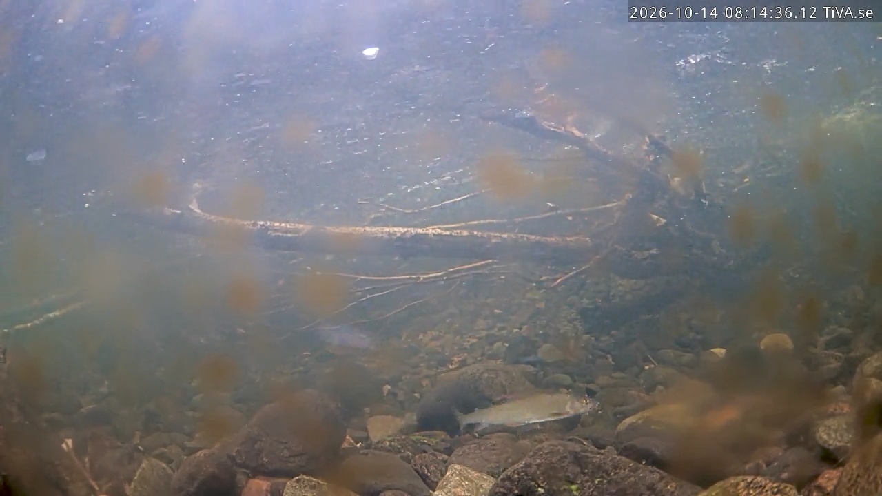 Video 2026-10-14 08:14