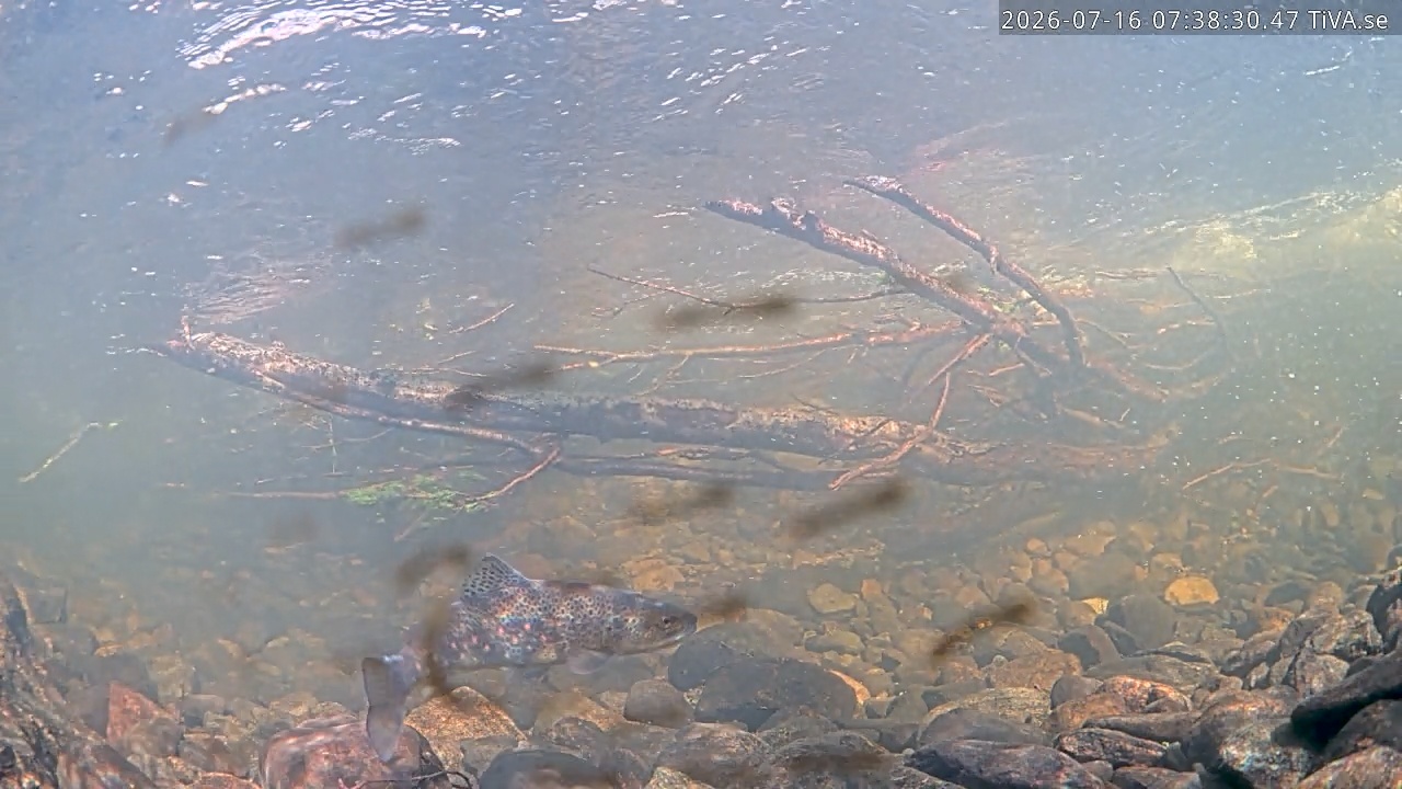 Video 2026-07-16 07:39
