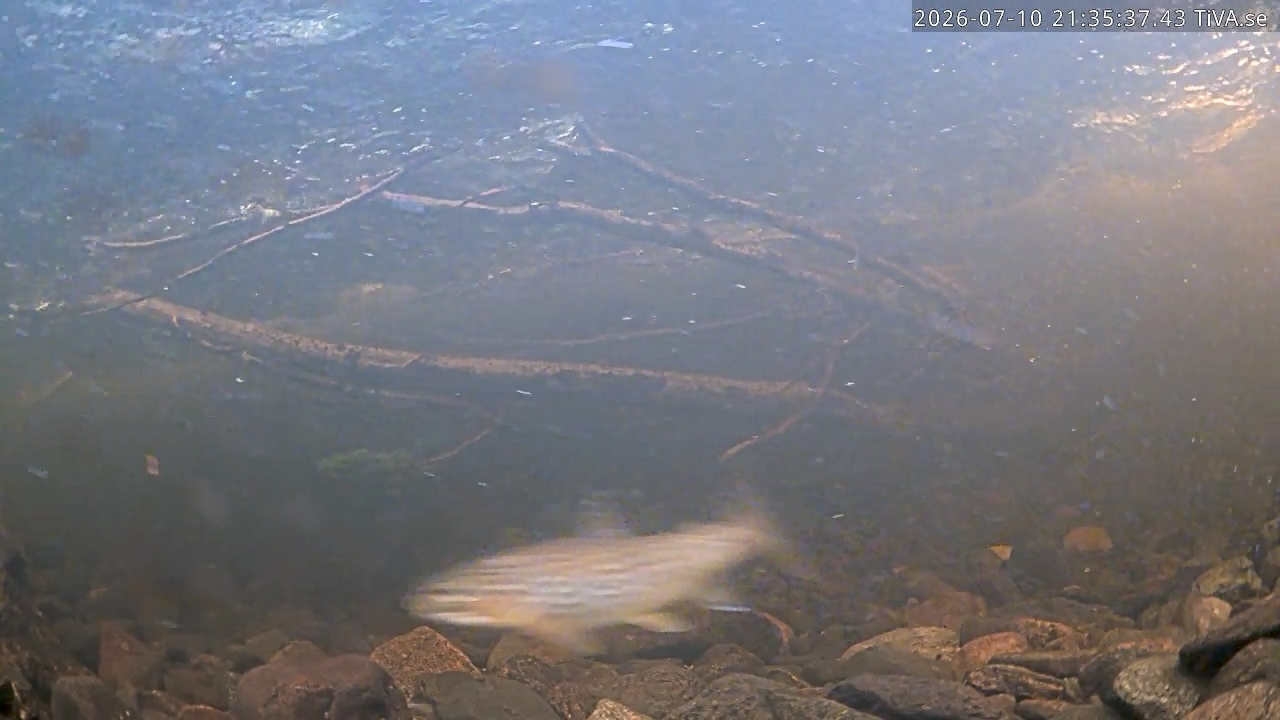 Video 2026-07-10 21:35