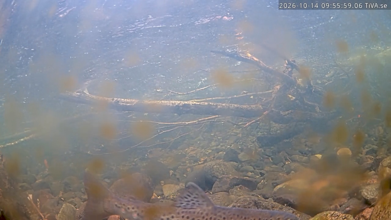 Video 2026-10-14 09:56