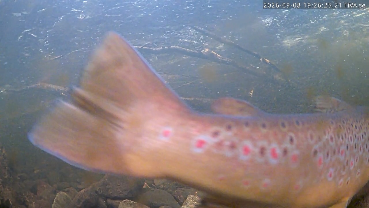 Video 2026-09-08 19:26