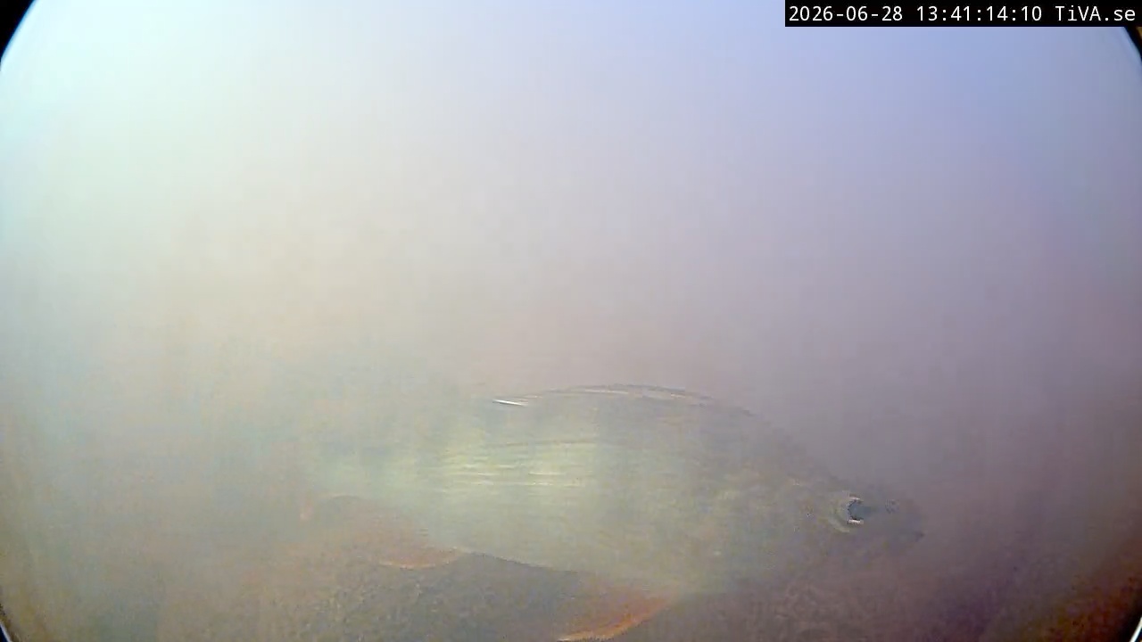 Video 2026-06-28 13:41