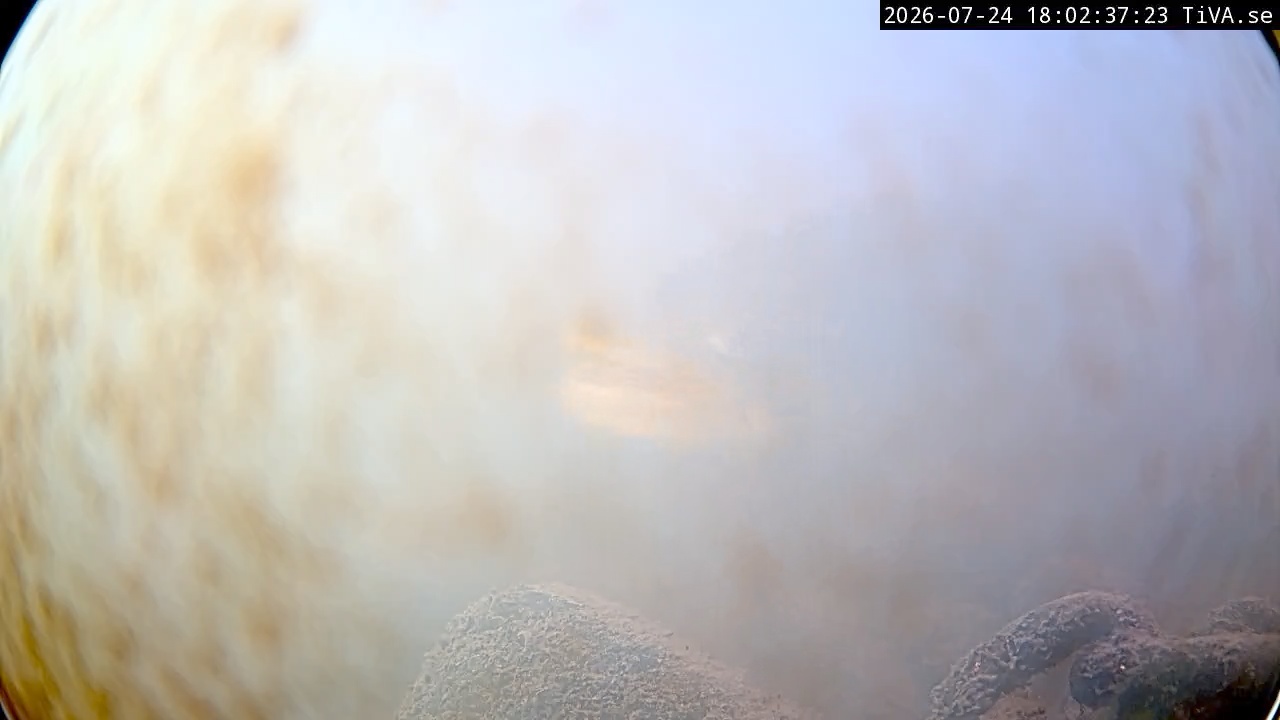 Video 2026-07-24 18:02
