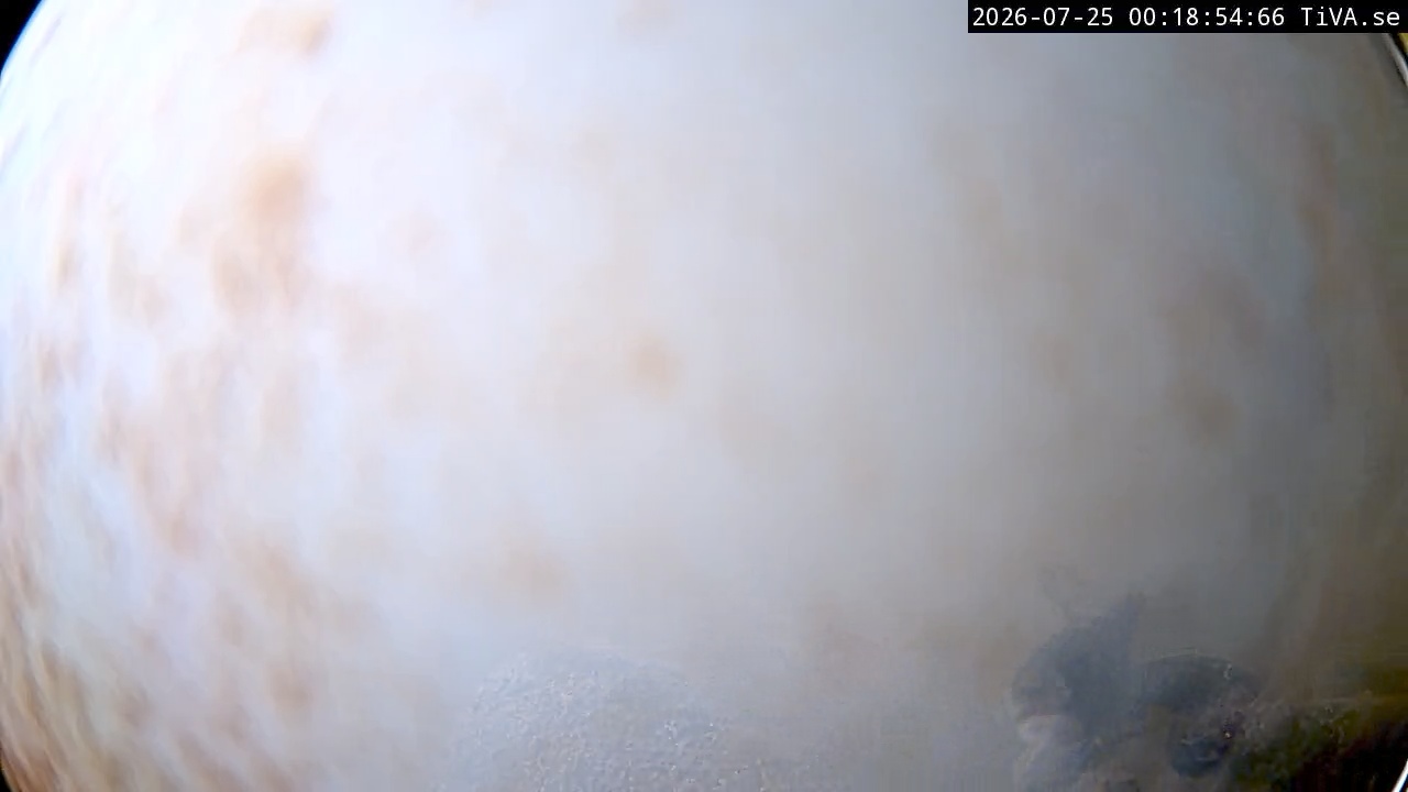 Video 2026-07-25 00:19
