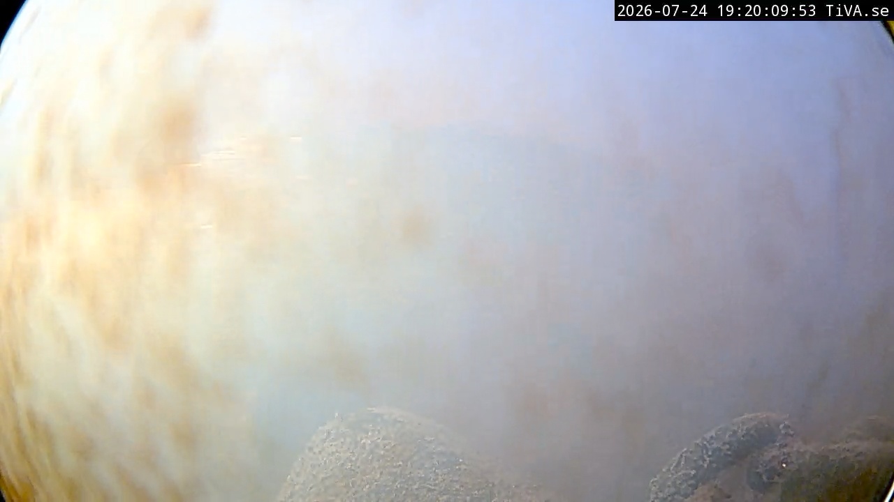Video 2026-07-24 19:20