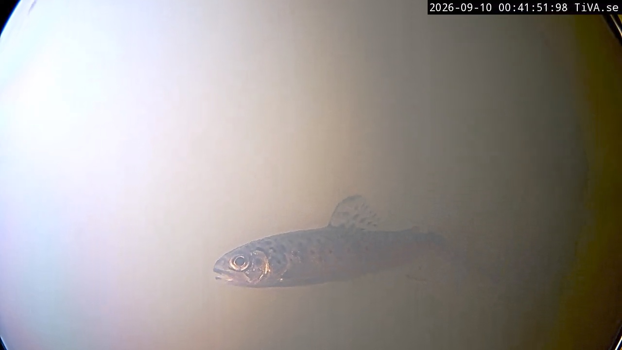 Video 2026-09-10 00:42