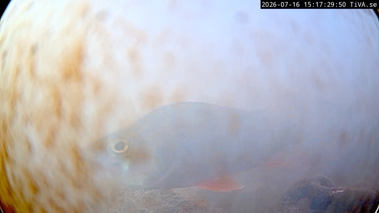 Video 2026-07-16 15:17