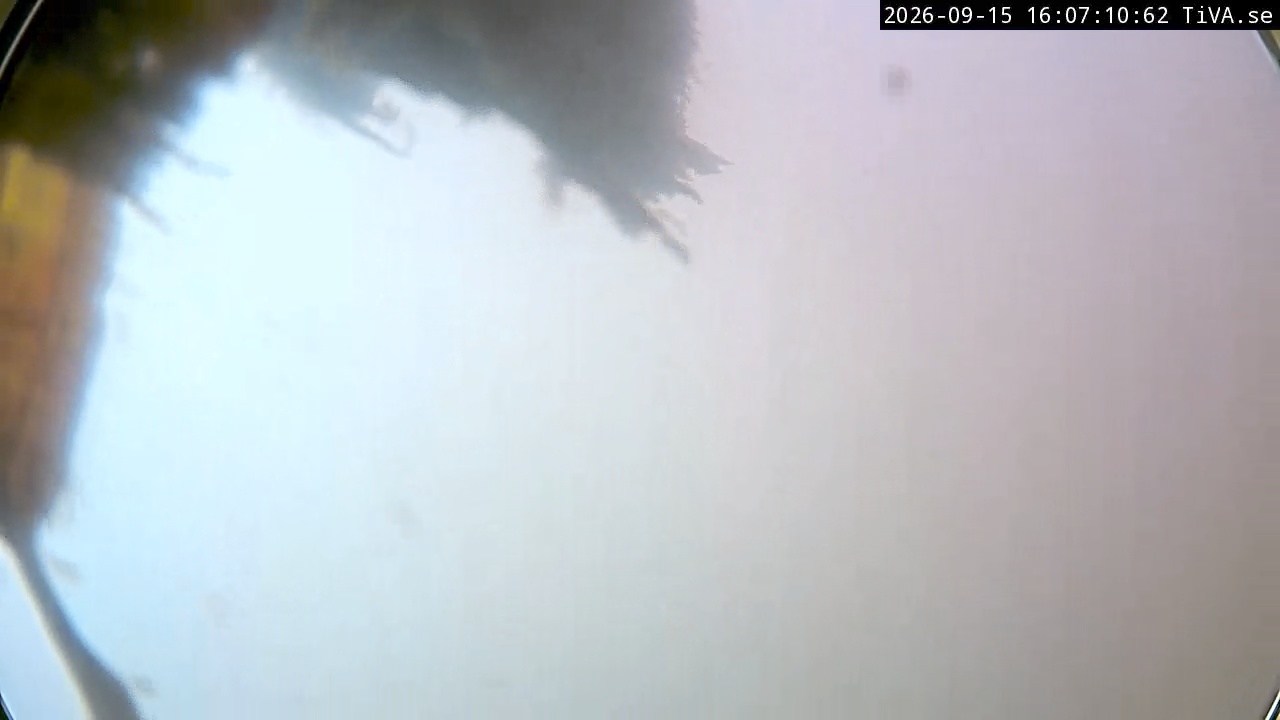 Video 2026-09-15 16:07