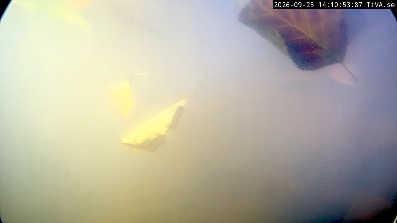 Video 2026-09-25 14:10