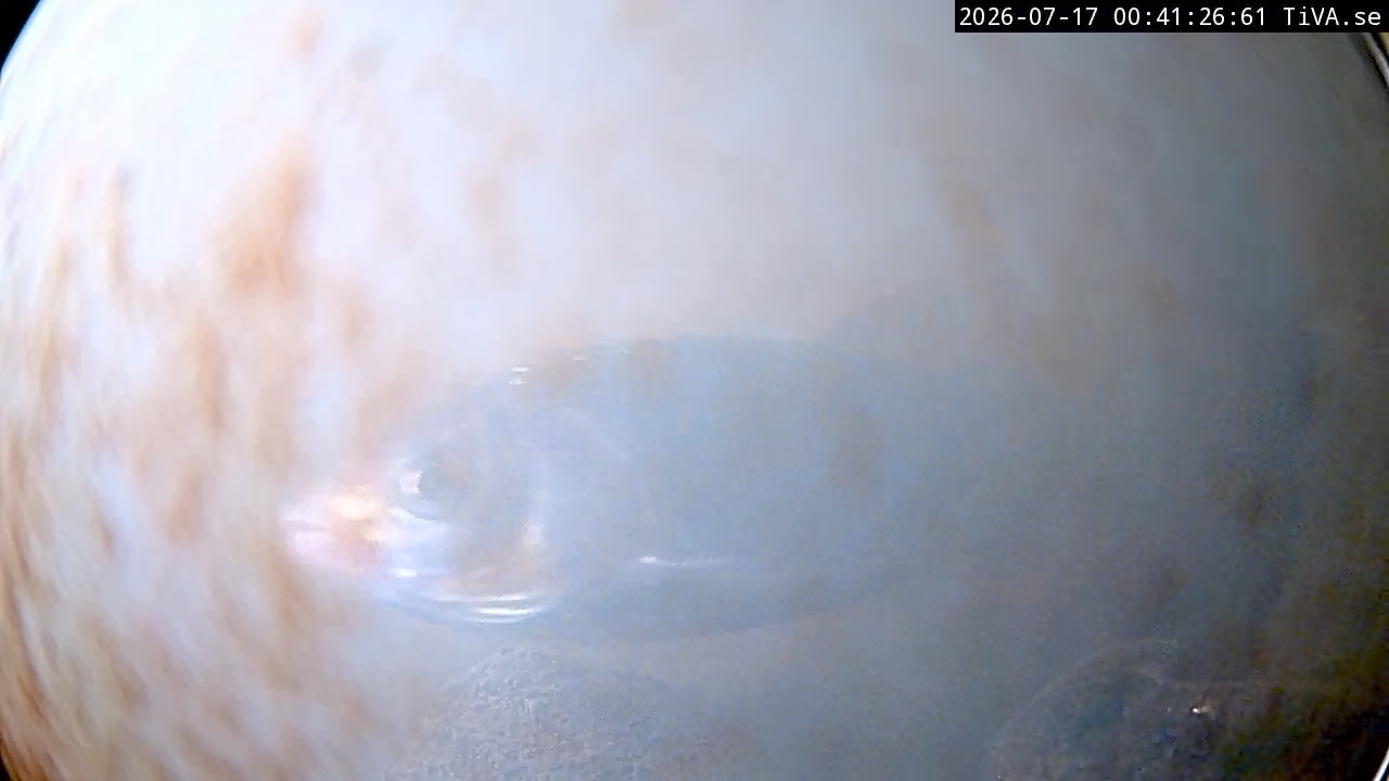 Video 2026-07-17 00:41