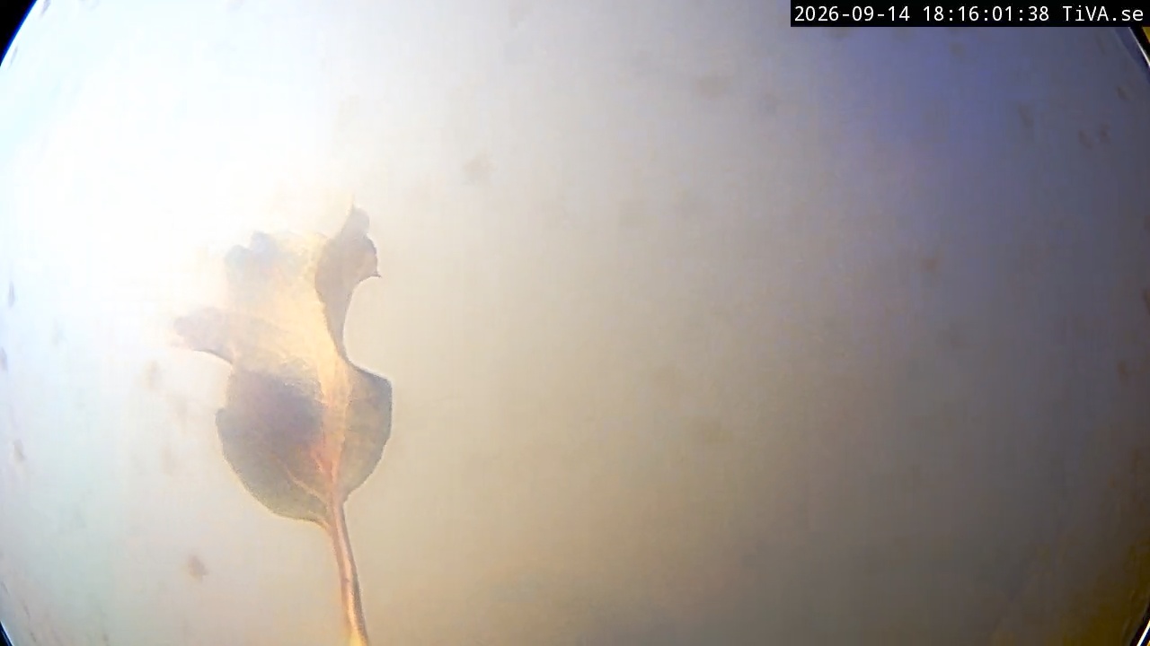 Video 2026-09-14 18:16