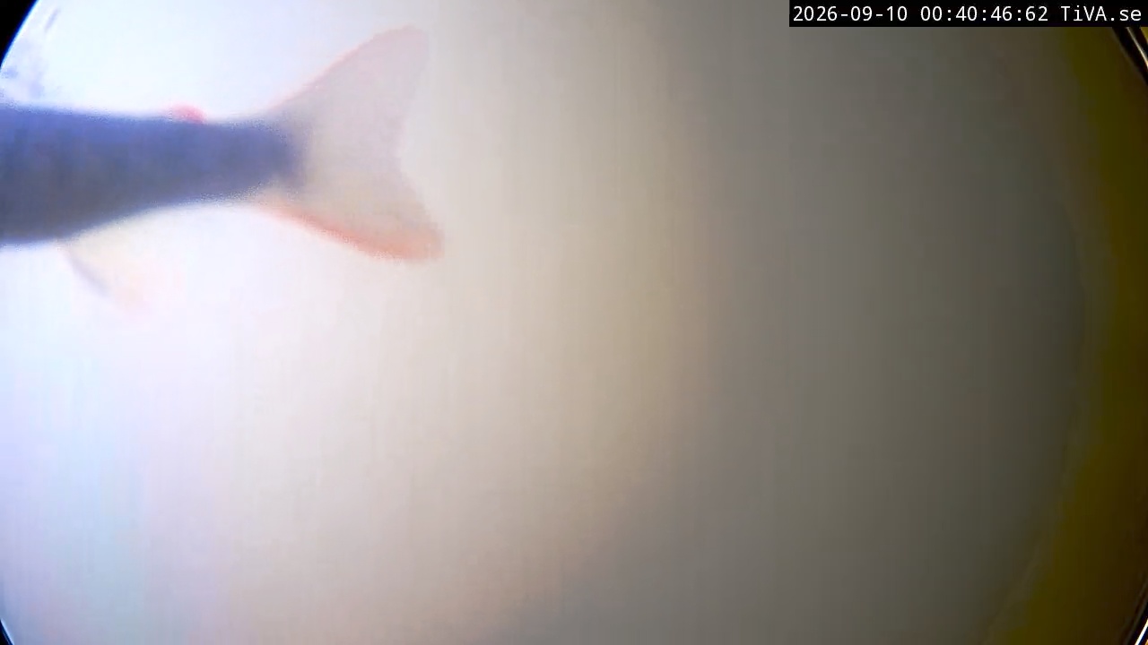 Video 2026-09-10 00:40