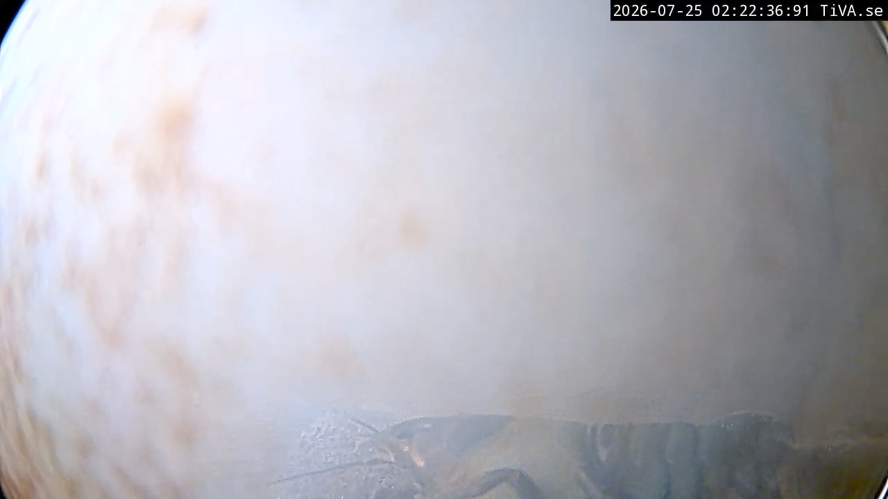 Video 2026-07-25 02:22