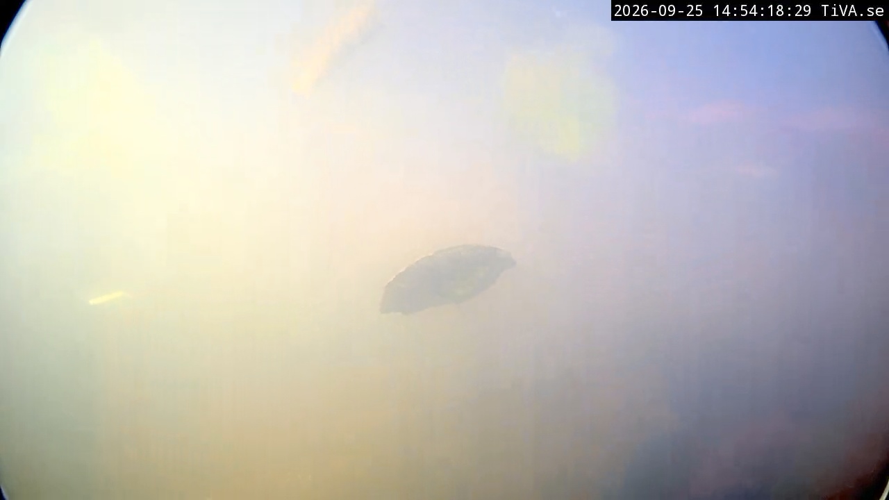 Video 2026-09-25 14:54