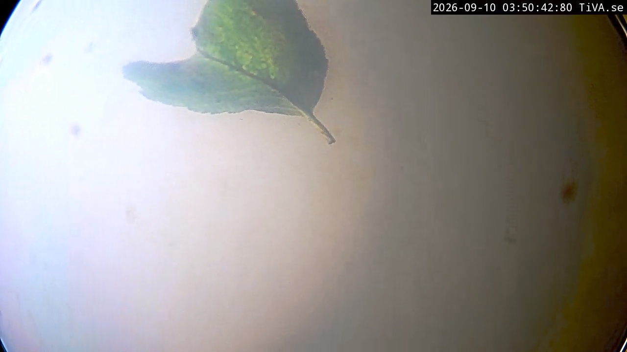 Video 2026-09-10 03:50