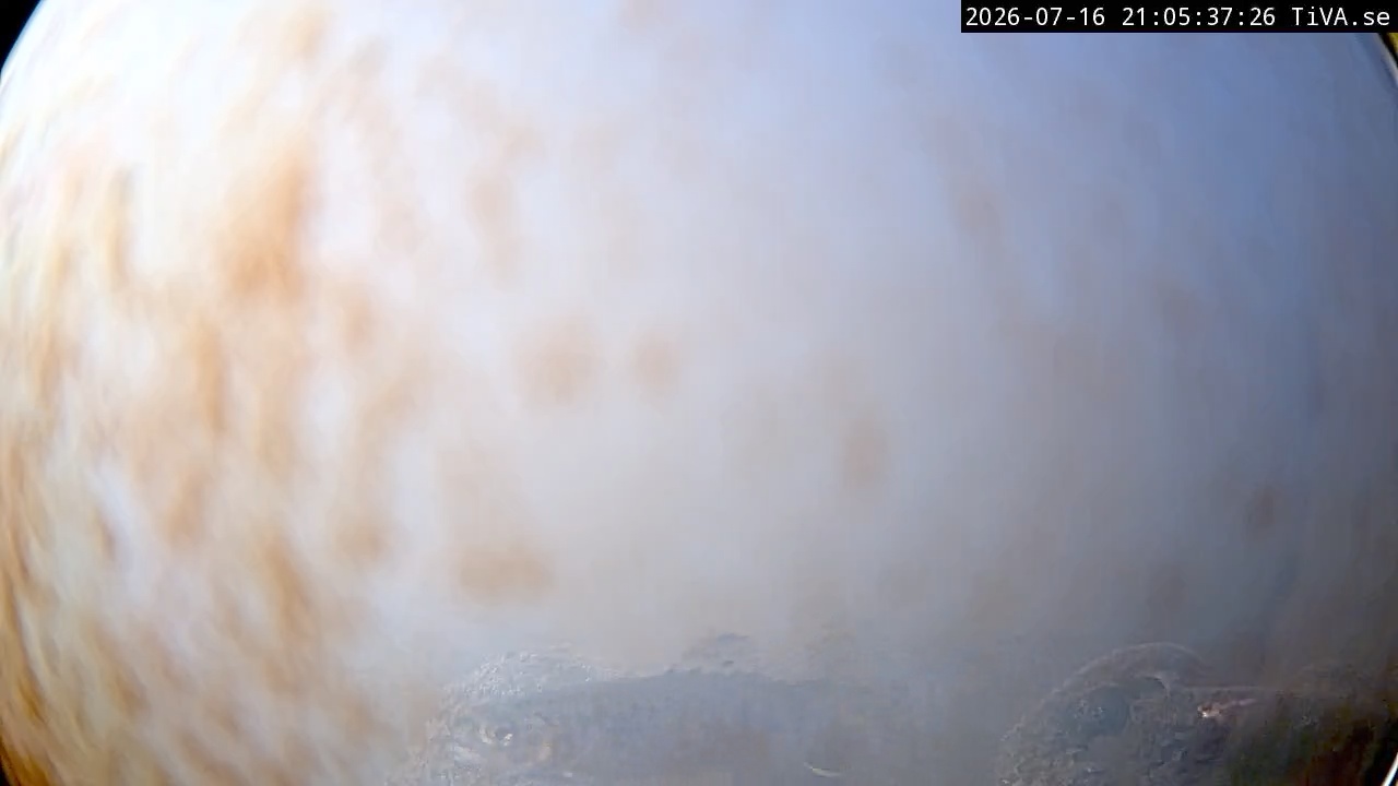 Video 2026-07-16 21:05