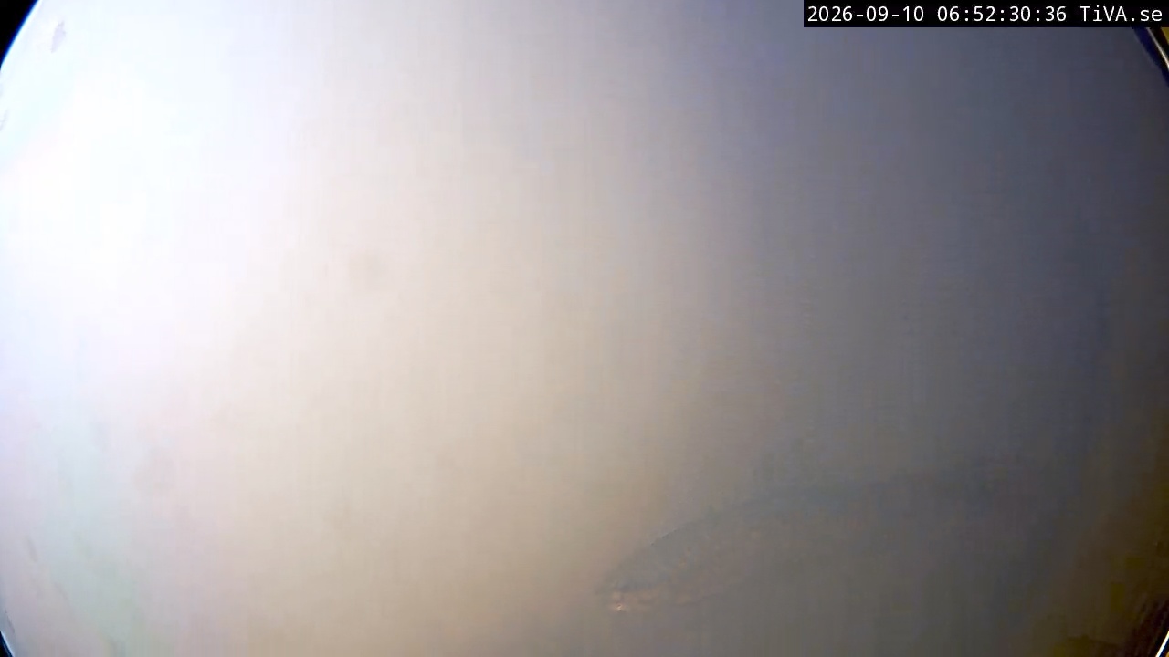 Video 2026-09-10 06:52