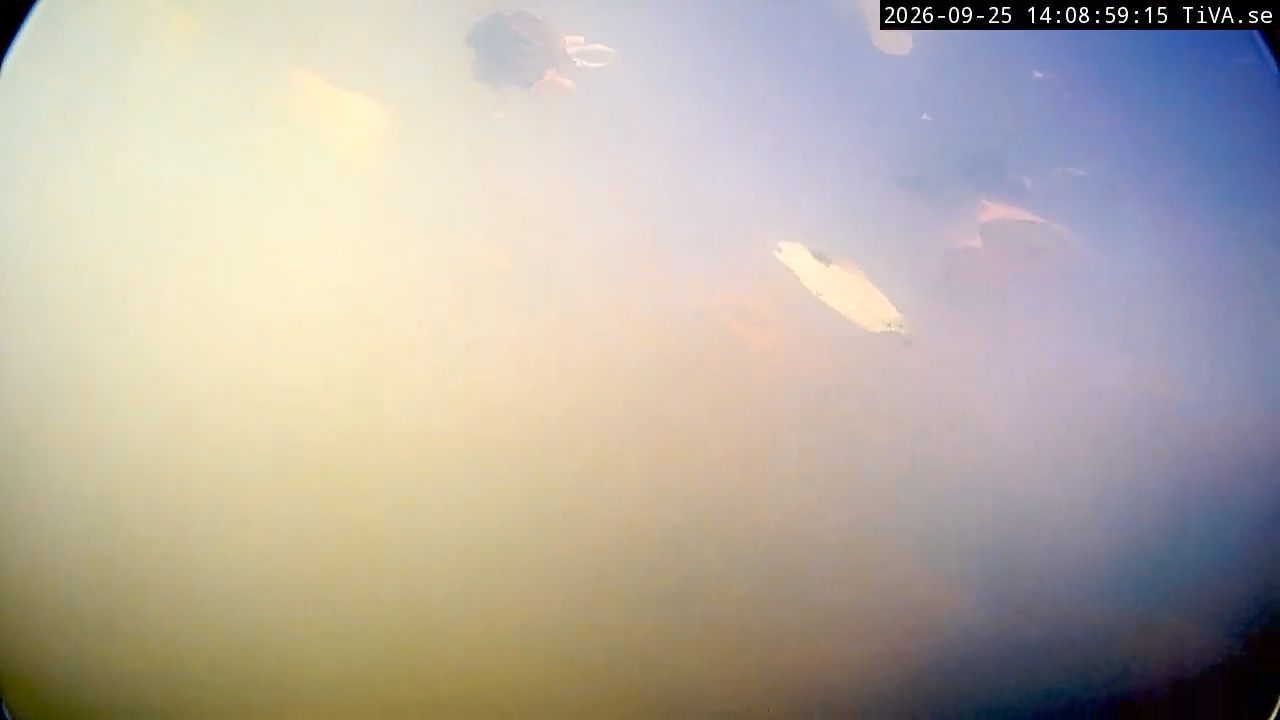 Video 2026-09-25 14:09