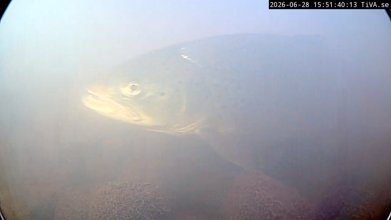 Video 2026-06-28 15:51