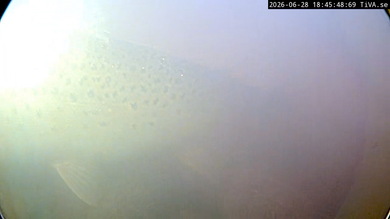Video 2026-06-28 18:45