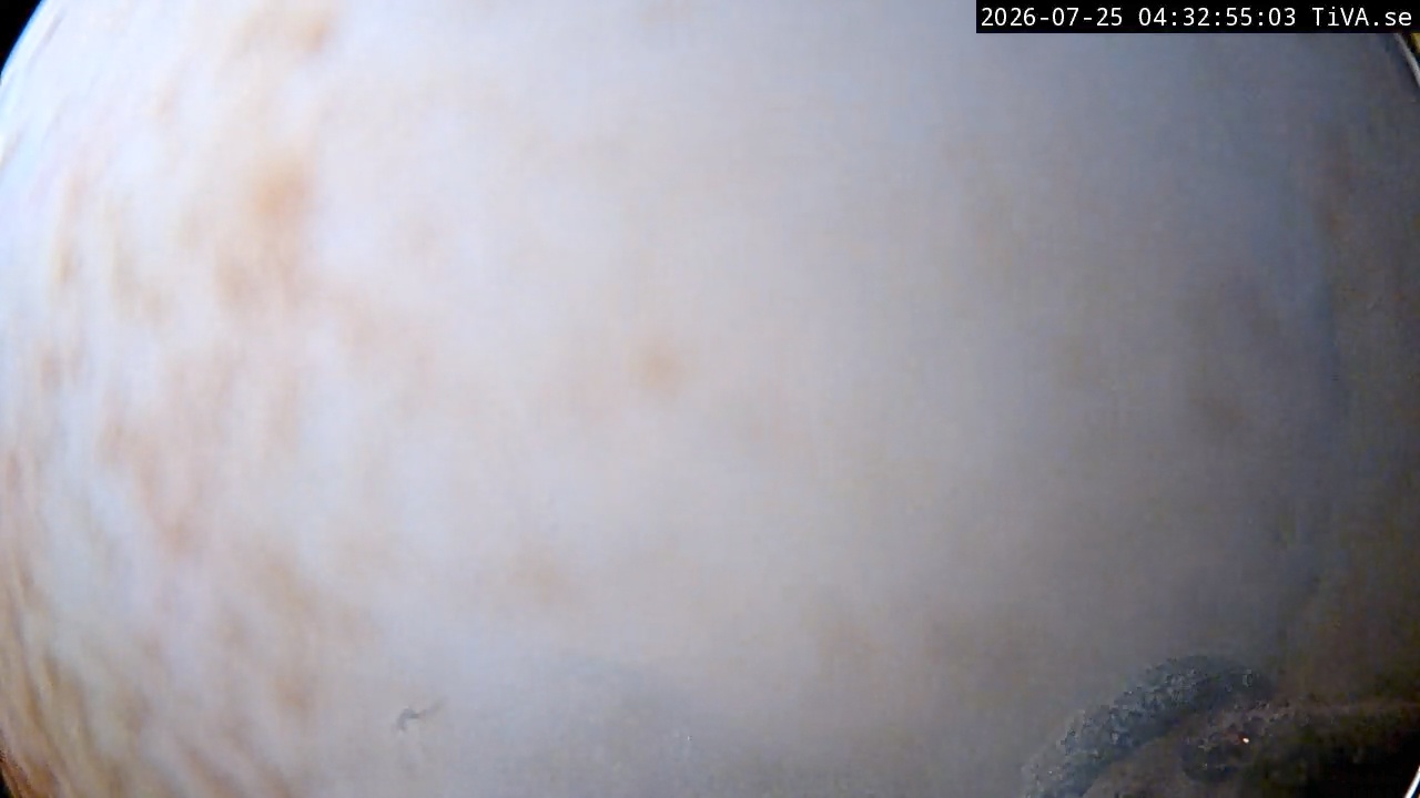 Video 2026-07-25 04:33
