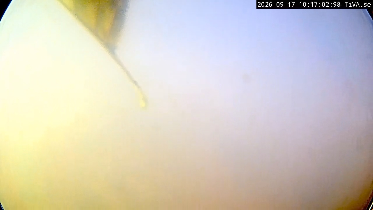 Video 2026-09-17 10:17
