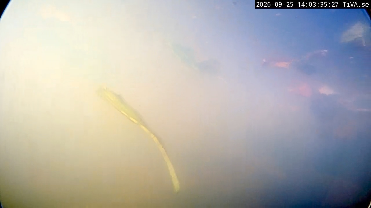 Video 2026-09-25 14:03