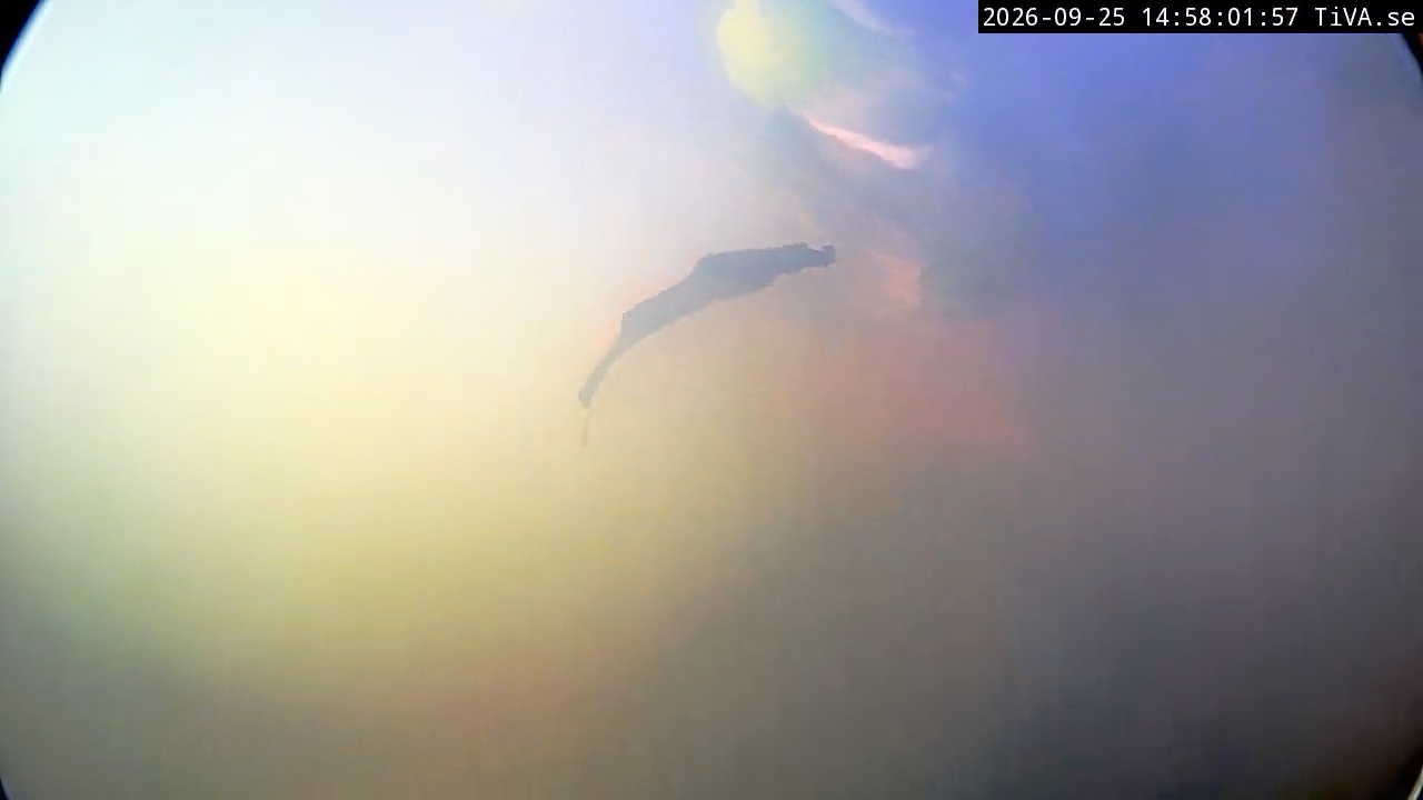 Video 2026-09-25 14:58