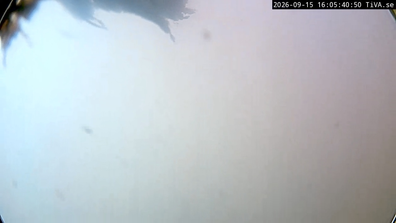 Video 2026-09-15 16:05