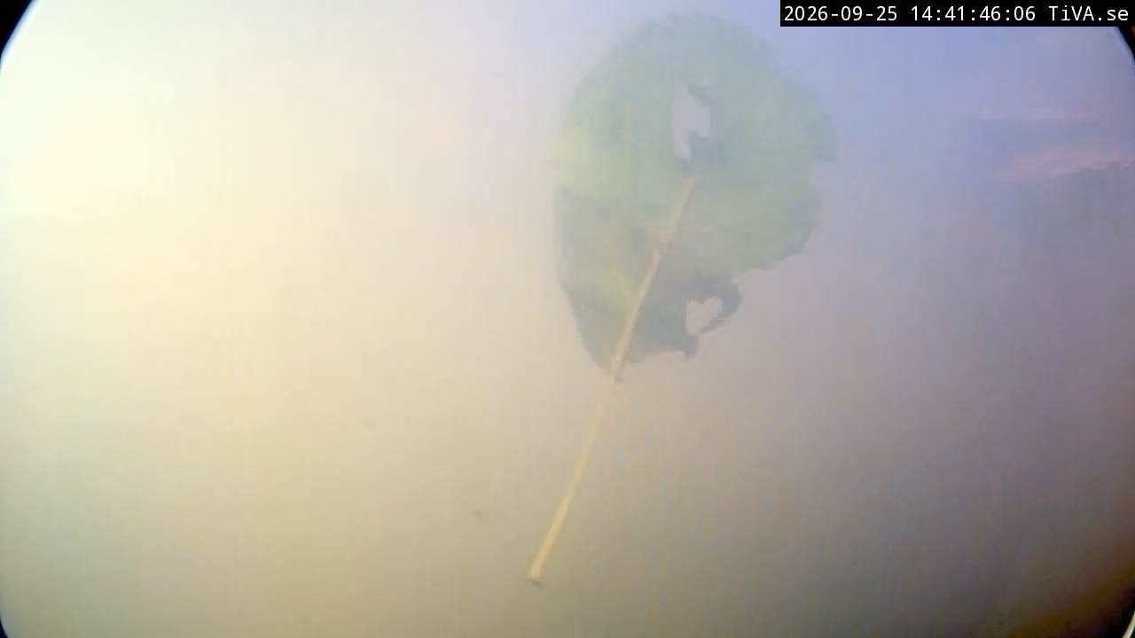 Video 2026-09-25 14:41
