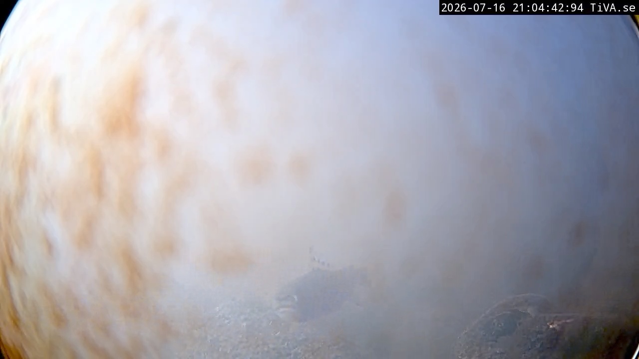 Video 2026-07-16 21:04
