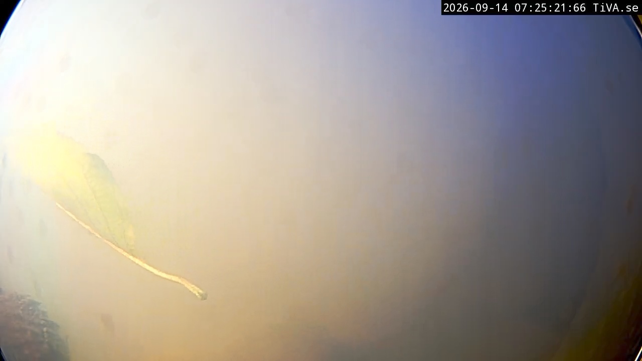 Video 2026-09-14 07:25