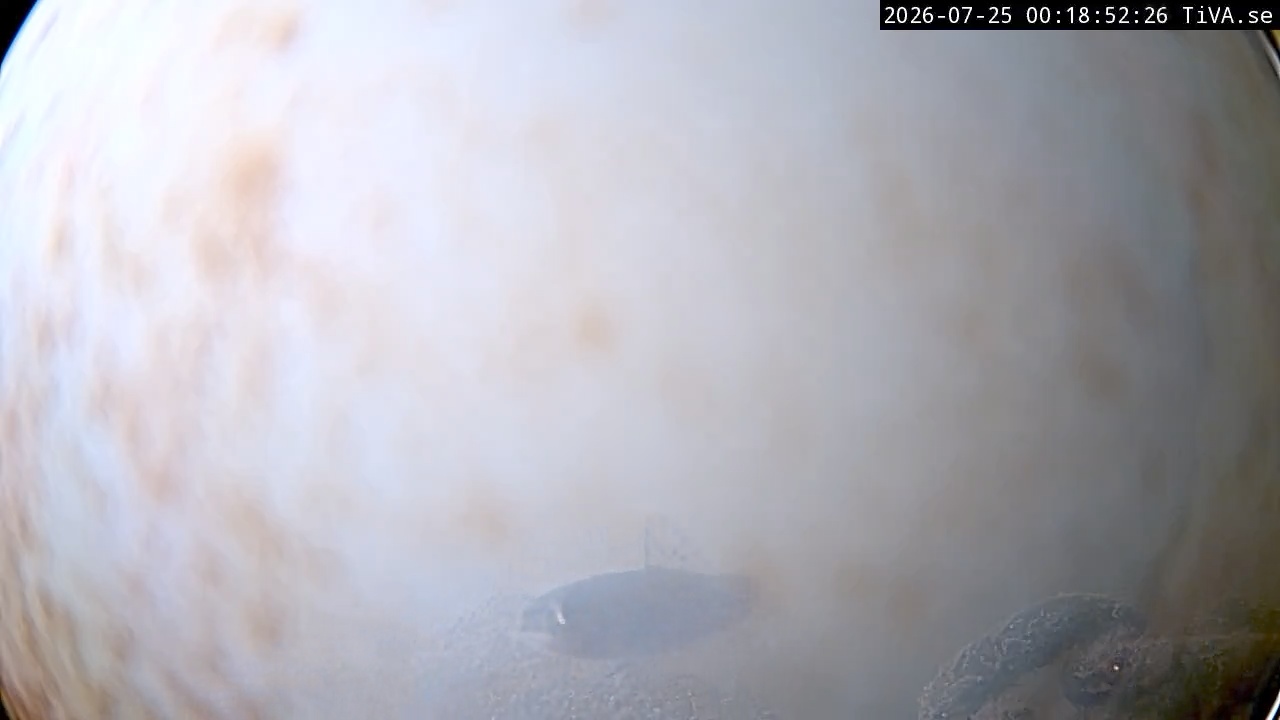 Video 2026-07-25 00:19