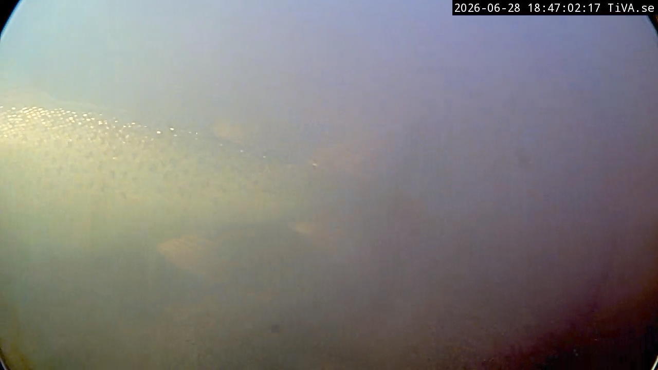 Video 2026-06-28 18:47