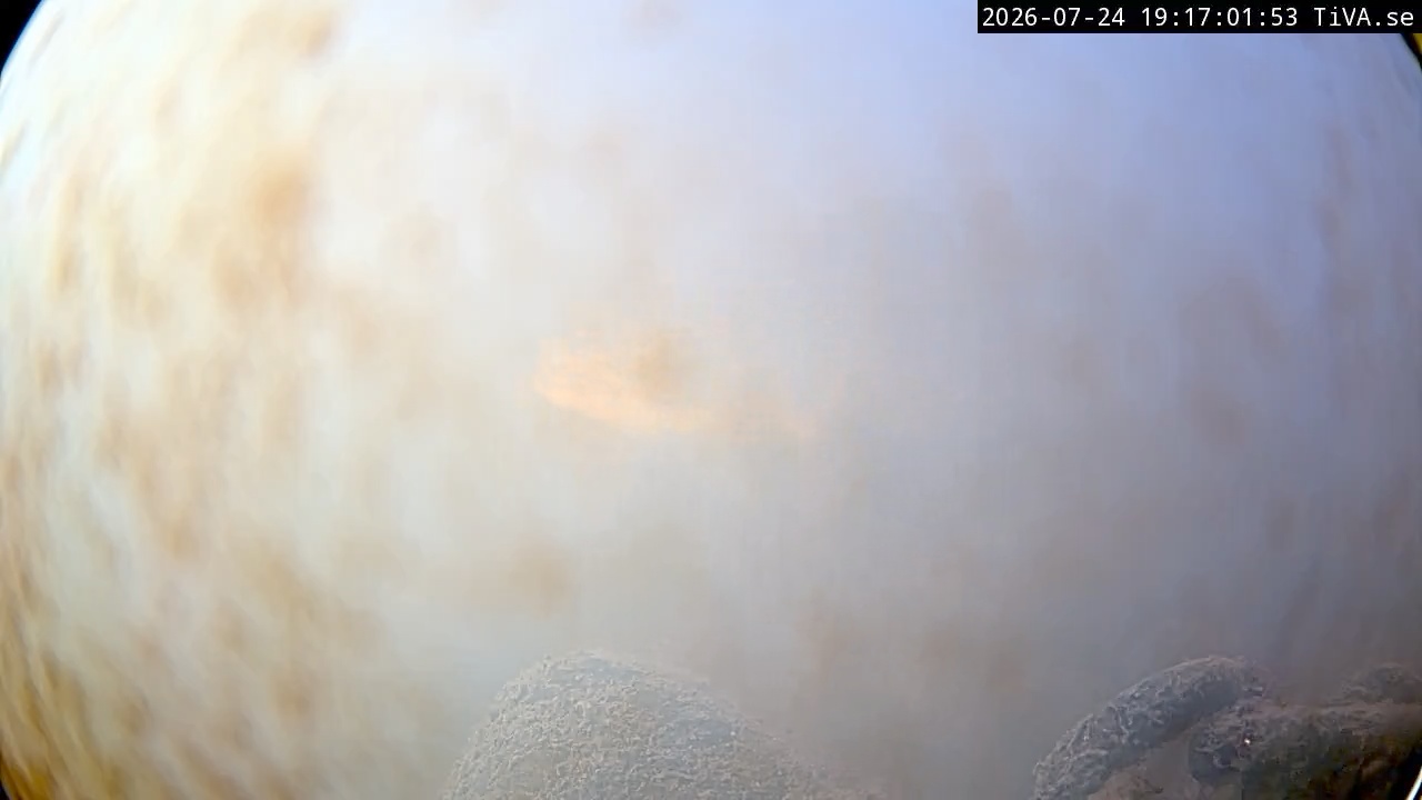 Video 2026-07-24 19:17