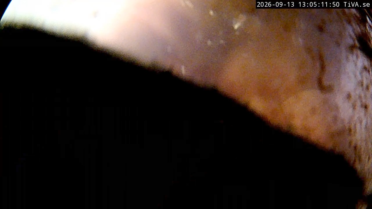 Video 2026-09-13 13:05