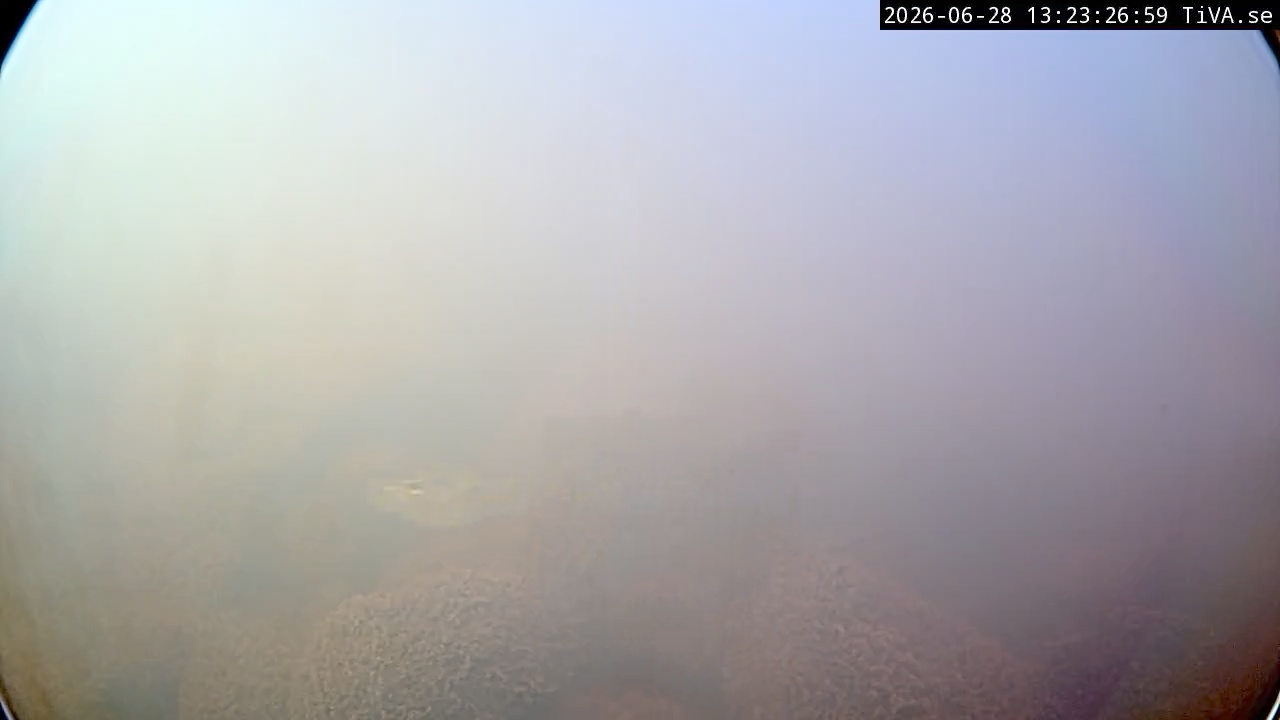 Video 2026-06-28 13:23