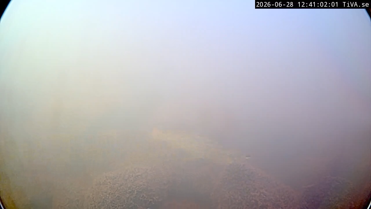 Video 2026-06-28 12:41
