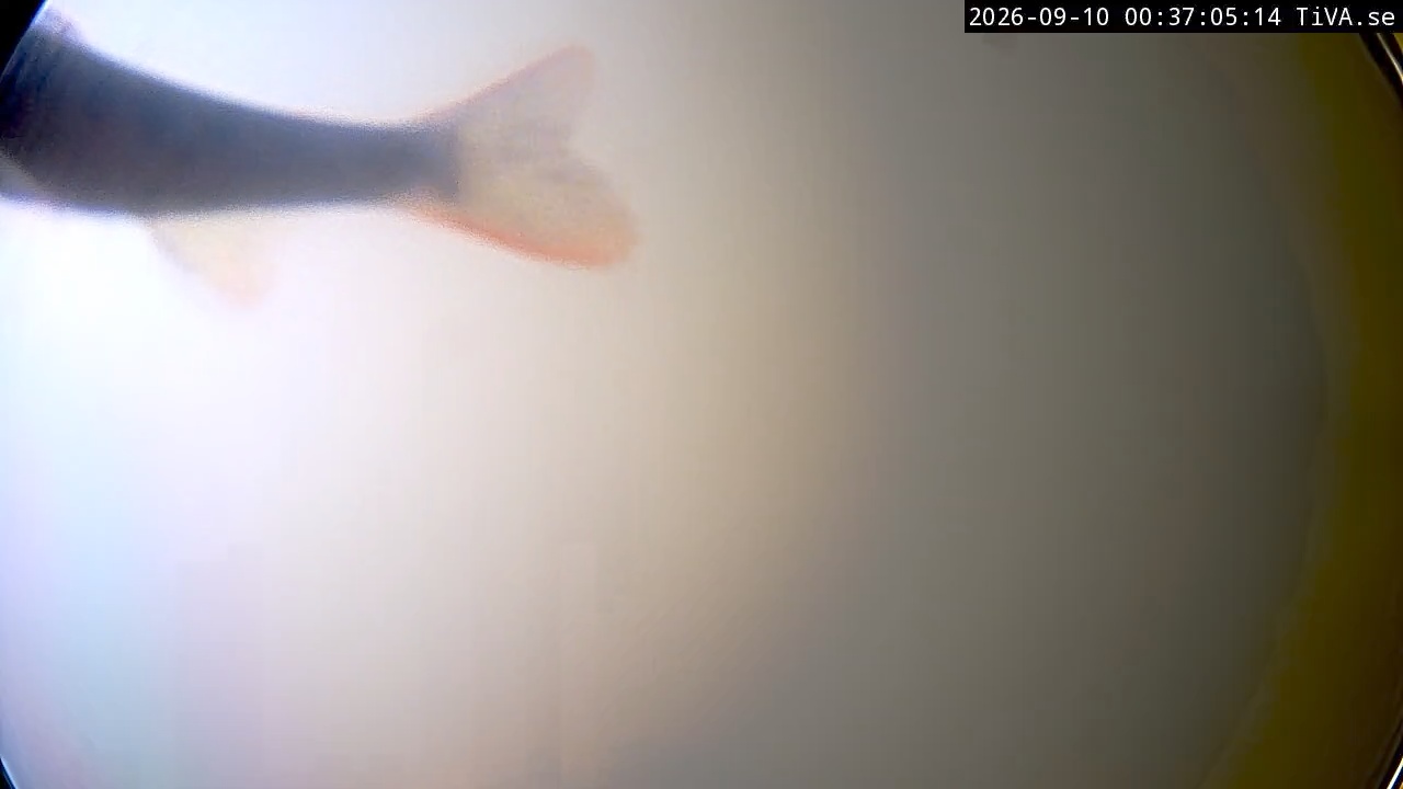 Video 2026-09-10 00:37