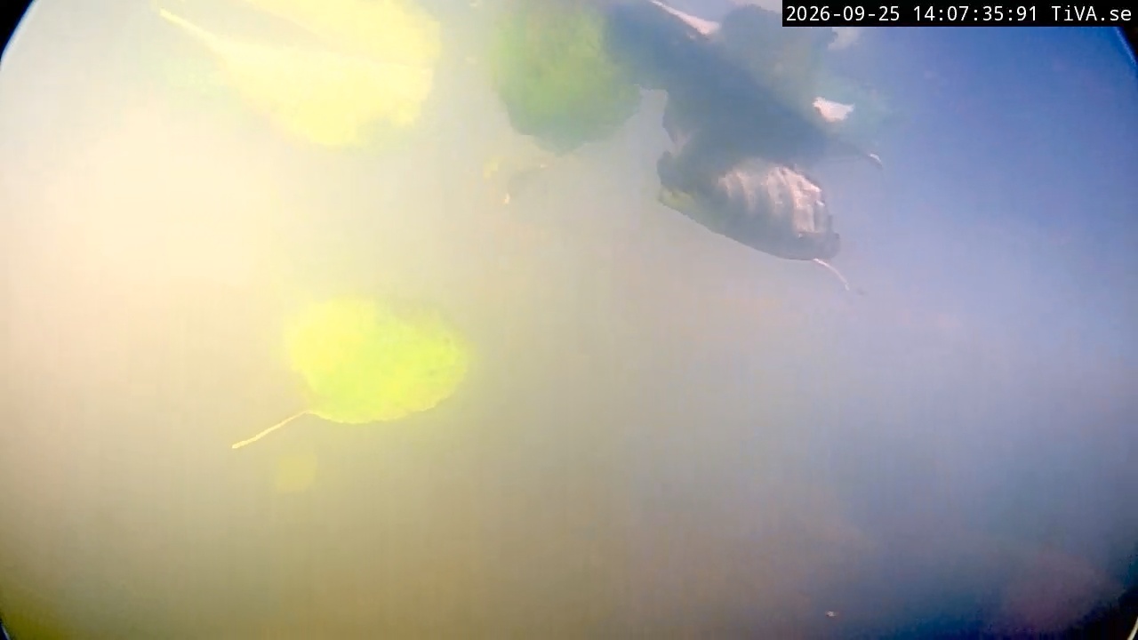 Video 2026-09-25 14:07