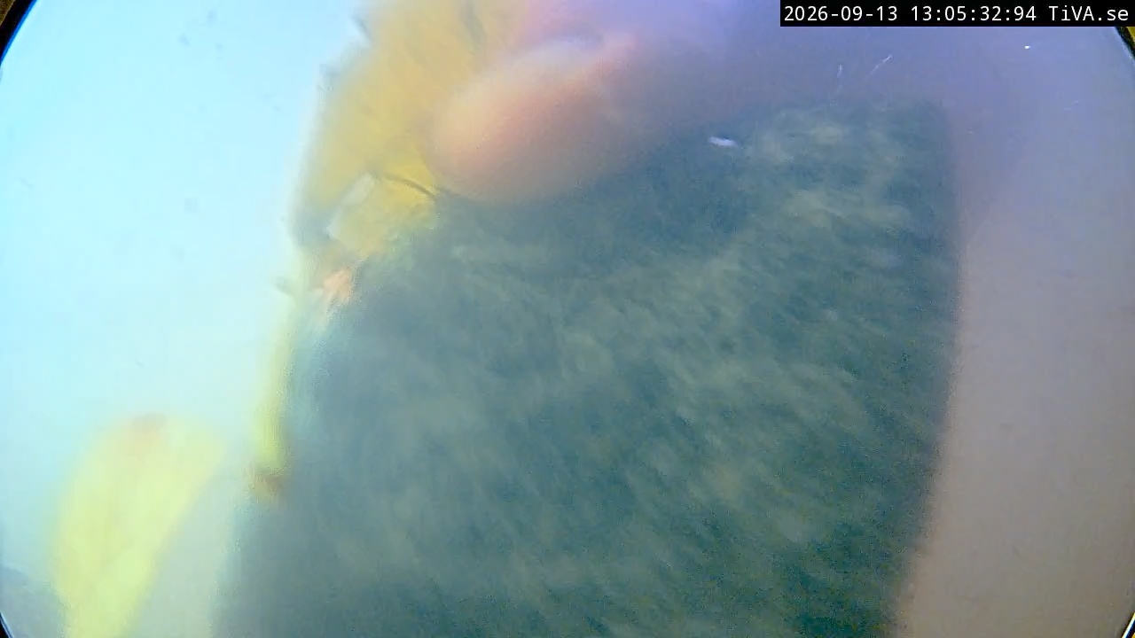 Video 2026-09-13 13:05