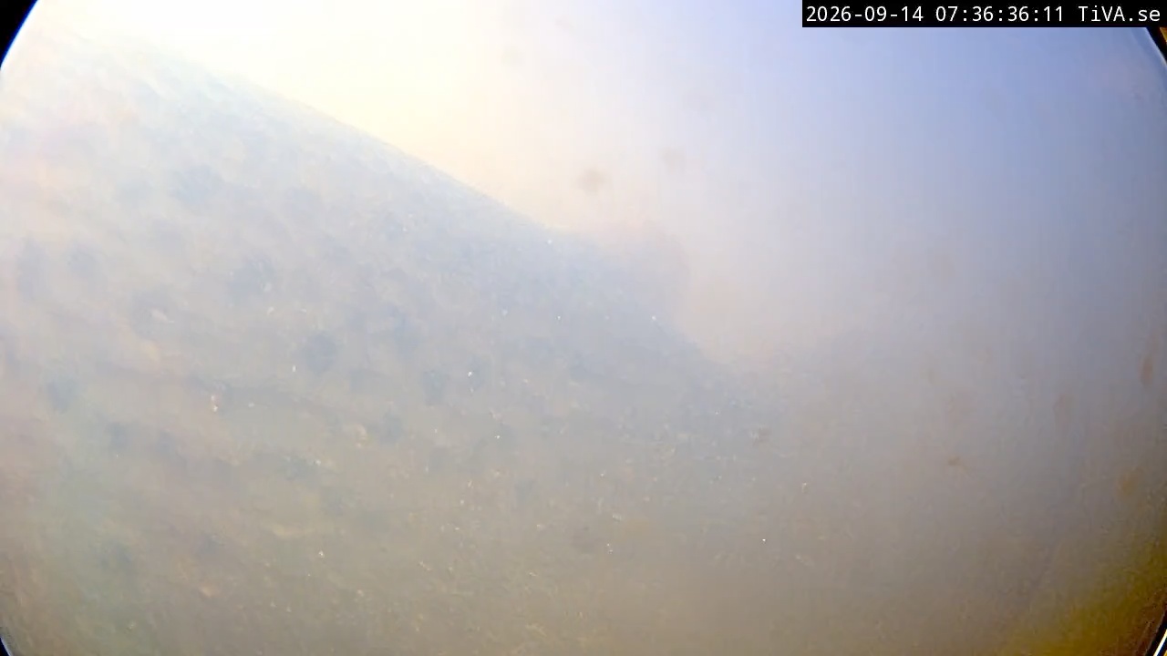 Video 2026-09-14 07:36