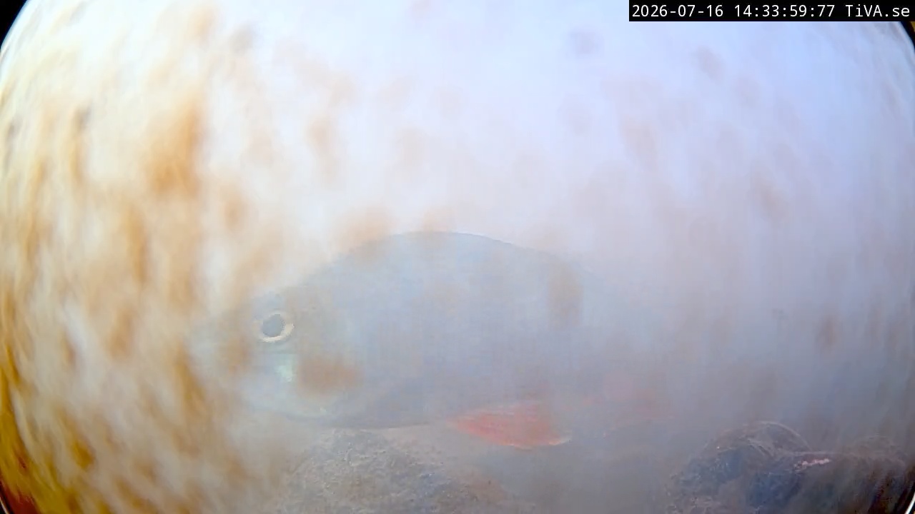 Video 2026-07-16 14:34