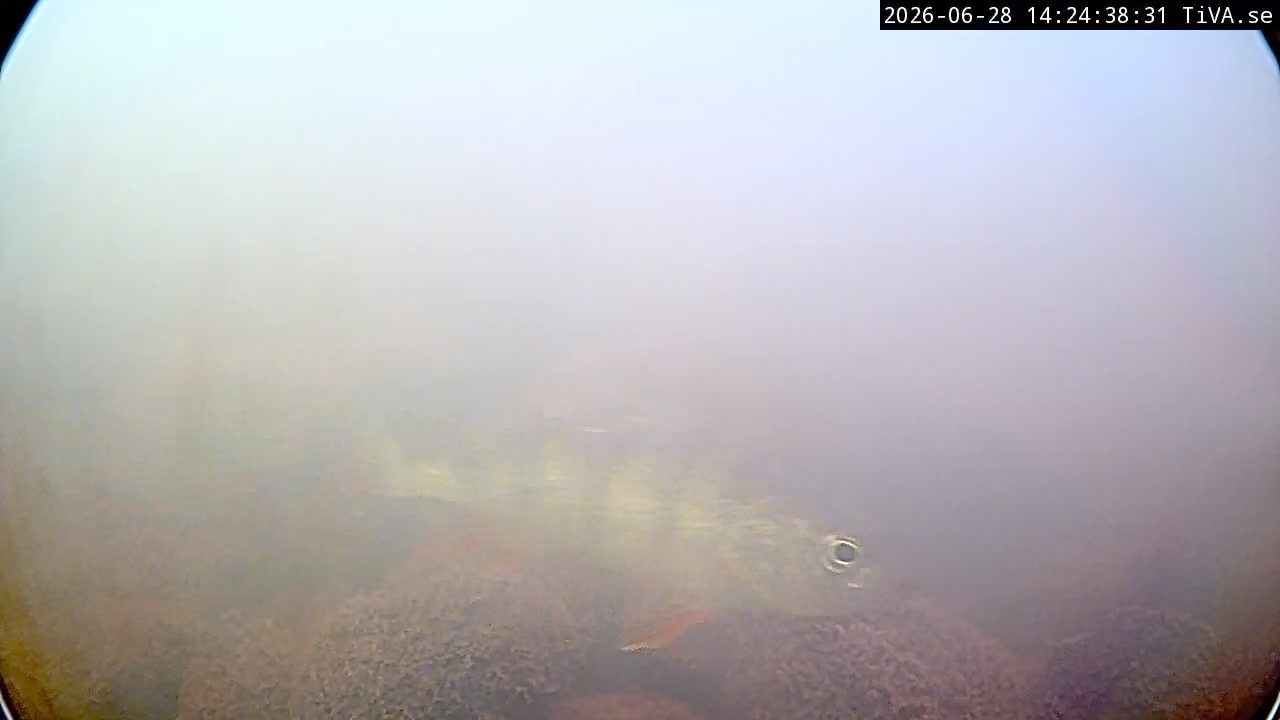 Video 2026-06-28 14:24