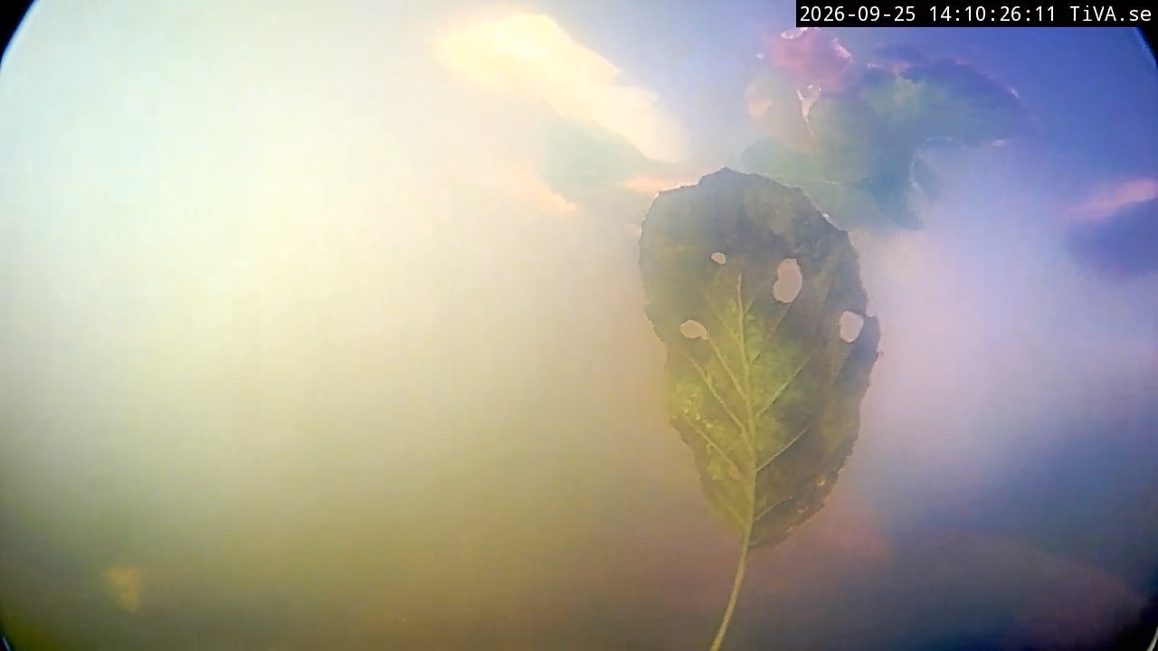 Video 2026-09-25 14:10