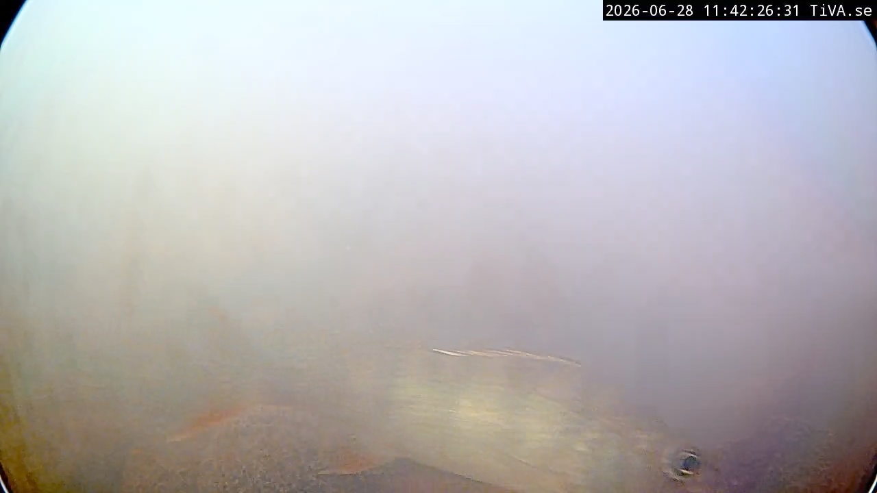 Video 2026-06-28 11:42