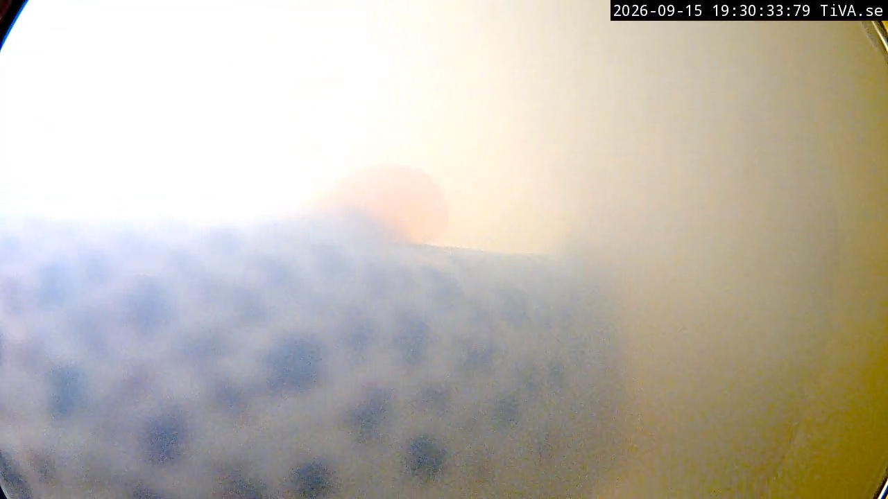Video 2026-09-15 19:30