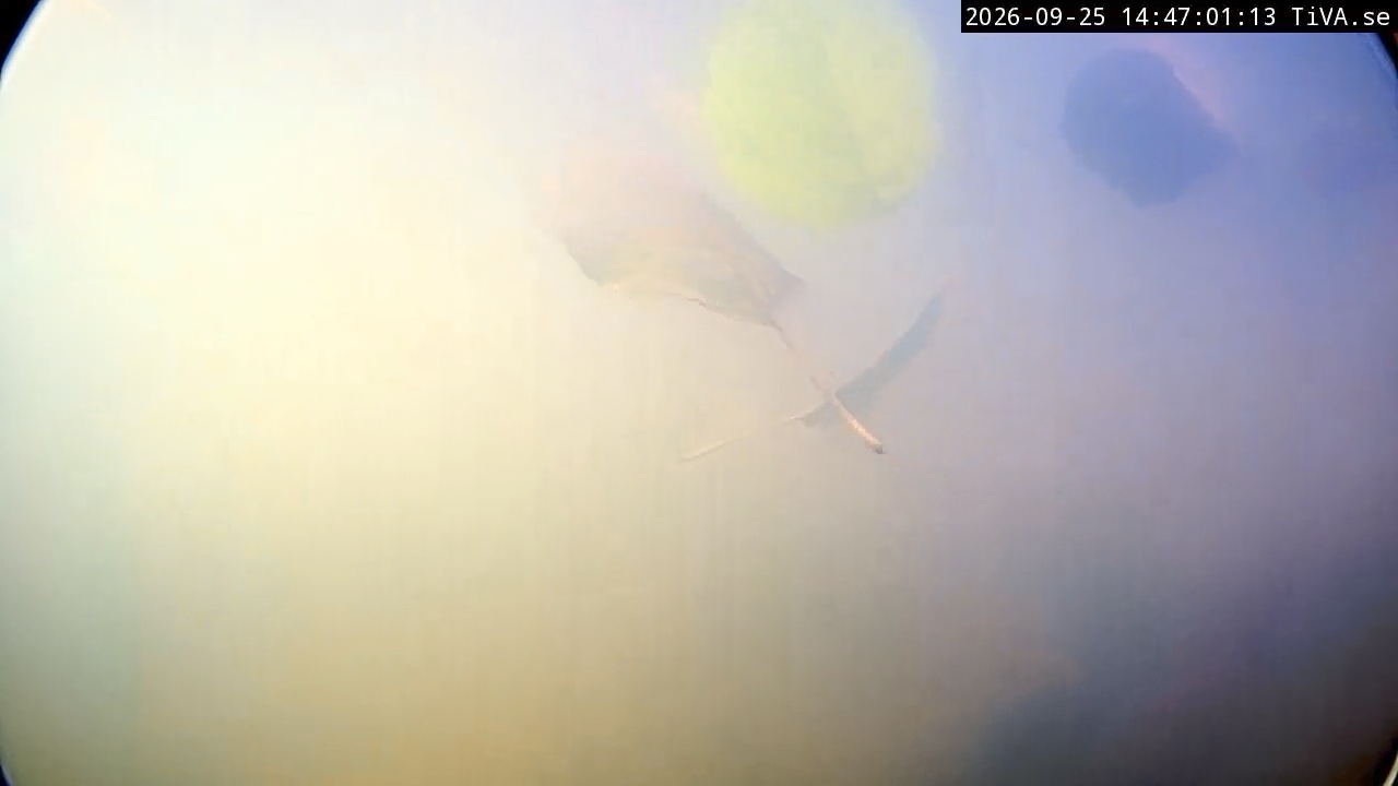 Video 2026-09-25 14:47