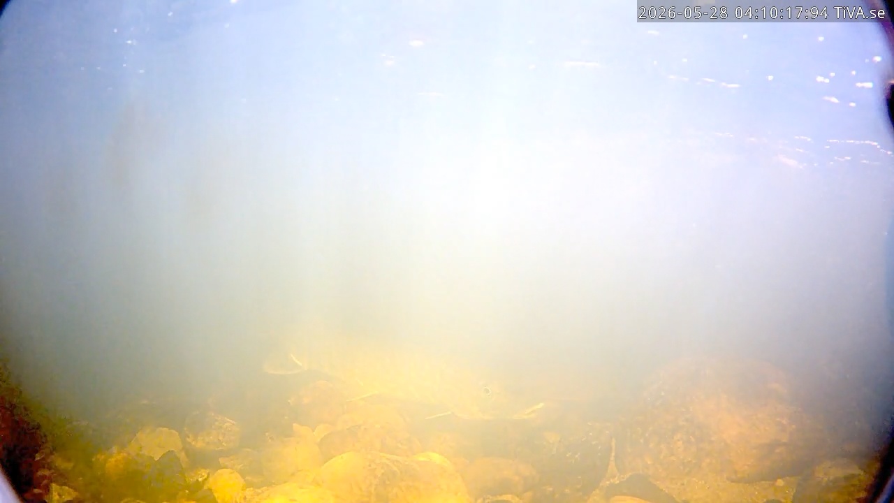 Video 2026-05-28 04:10